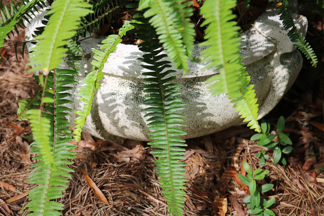 375b - Pair of concrete pots